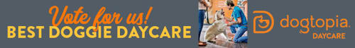 Dogtopia Daycare of Rocklin